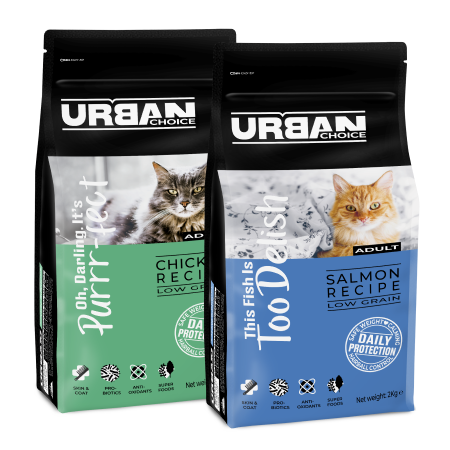 Dry food for cats